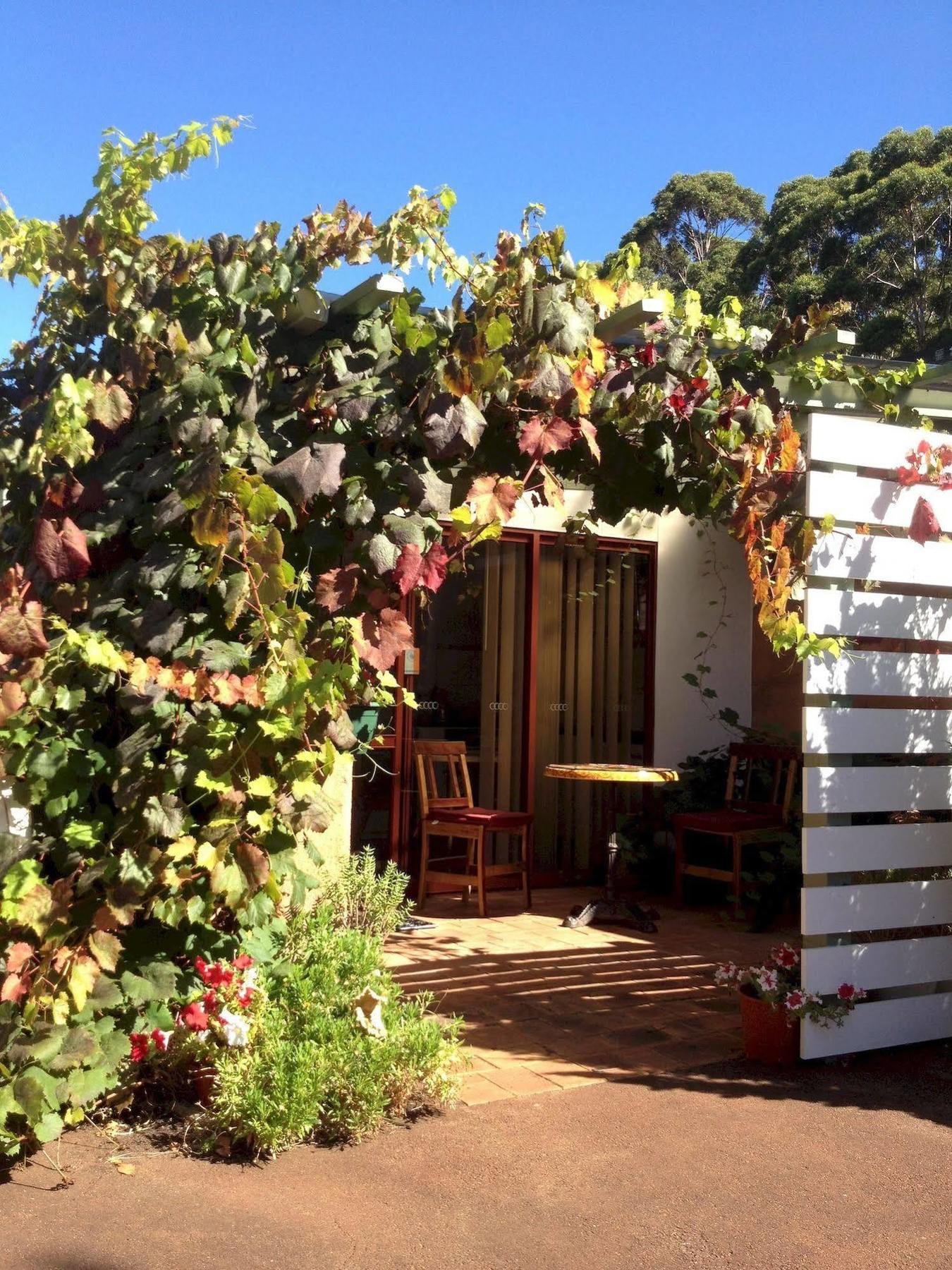 Forest Retreat Bed And Breakfast 마가렛리버 외부 사진